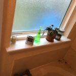 Bathroom window next to tub
